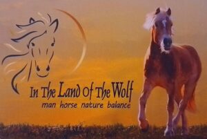 IN THE LAND OF THE WOLF